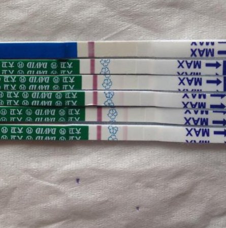 2026呼和浩特三大助孕机构都有哪家？附前3名单