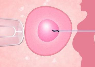 2026宁夏试管助孕机构有哪些(附机构排名介绍)