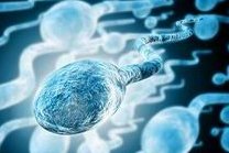 2026山东青岛三大助孕公司是哪三家？附联系方式