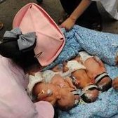 2026哈萨克斯坦二代试管婴儿费用明细公布