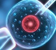 2026天津试管婴儿医院排名分享，前三医院介绍一次看完