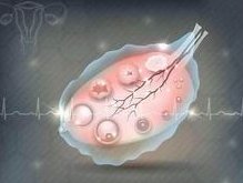 2026温州权威助孕机构排行榜，这份名单你值得一看！