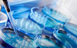 2026嘉兴地区助孕机构权威排行，专业助孕企业温馨呵护全方位服务