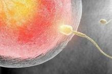 2026南昌第三代试管婴儿助孕生孩子机构排名汇总