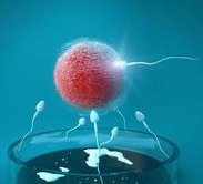 2026国内高龄试管医院推荐（建议收藏！）