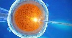 2026华西附二院试管婴儿流程一览，附试管婴儿建档的4大步骤