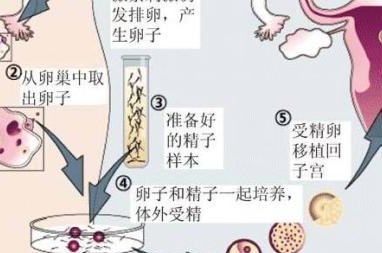 2026单身的试管私立医院排名公开哪家强？