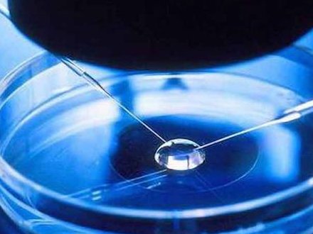 2026上海助孕机构排名有变化，盘点2026上海正规助孕机构名单