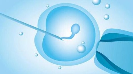 2026年上海市十大信赖助孕机构，这些机构公司的助孕服务都很好