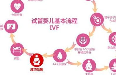 2026上海十大专业助孕机构公司名单来了！