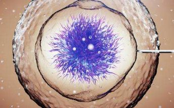 2010年度有实力医院10强第三代试管婴儿