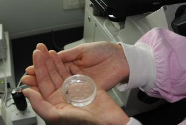 2026南昌私立生殖医院试管省钱宝典，轻松备孕不花冤枉钱