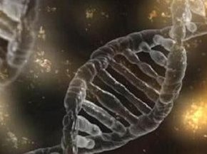 2026三代试管婴儿助孕费用明细来了