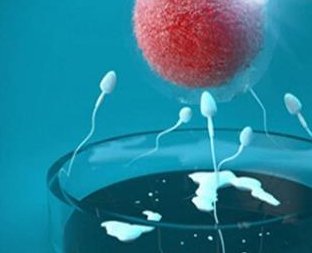 2026佳木斯试管婴儿医院排行榜，成功率与费用一览